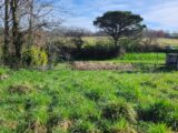 Terrain à bâtir à Albi (81000) 2097480-11178annonce220250305HzNvS.jpeg Maisons France Confort