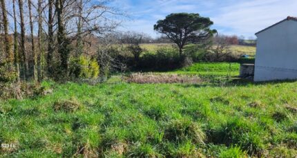 Albi Terrain à bâtir - 2097480-11178annonce220250305HzNvS.jpeg Maisons France Confort