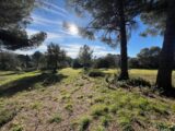 Terrain à bâtir à Le Muy (83490) 2099791-10295annonce120250307OvoXT.jpeg Maisons France Confort