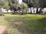 Terrain à bâtir à Le Muy (83490) 2099791-10295annonce220250307KFTSi.jpeg Maisons France Confort