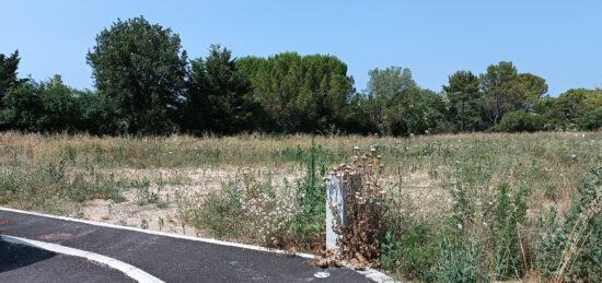 Terrain à bâtir à Le Triadou, Occitanie