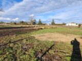 Terrain à bâtir à Lagrave (81150) 2104023-11178annonce320250312z0byg.jpeg Maisons France Confort