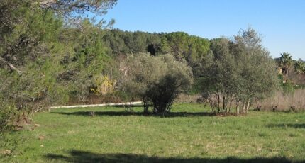 Trets Maison neuve - 2110462-11238annonce120250318AQTi3.jpeg Maisons France Confort