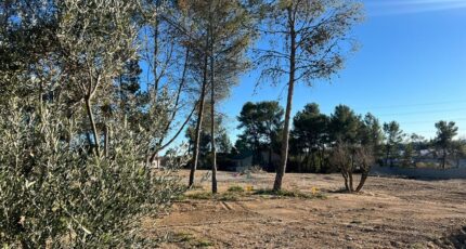 Saint-Clément-de-Rivière Terrain à bâtir - 2116867-3243annonce220250325fBH4C.jpeg Maisons France Confort