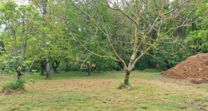 Tournefeuille Maison neuve - 2125131-9555annonce120250404kVaXa.jpeg Maisons France Confort