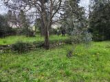 Terrain à bâtir à Draguignan (83300) 2125061-11039annonce220250404uz709.jpeg Maisons France Confort