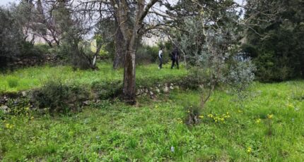 Draguignan Terrain à bâtir - 2125061-11039annonce220250404uz709.jpeg Maisons France Confort