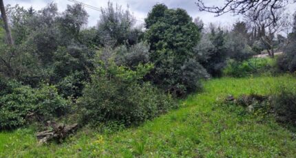 Draguignan Terrain à bâtir - 2125061-11039annonce320250404kncvm.jpeg Maisons France Confort