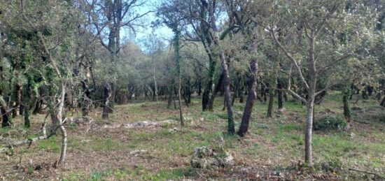 Terrain à bâtir à , Var