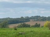 Terrain à bâtir à Cadalen (81600) 2098553-2684annonce320250306UhwDT.jpeg Maisons France Confort