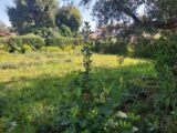 Terrain à bâtir à Fréjus (83600) 2127118-11157annonce120250407EugrG.jpeg Maisons France Confort