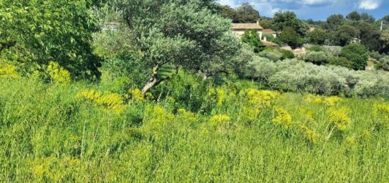 Terrain à bâtir à Lorgues, Provence-Alpes-Côte d'Azur