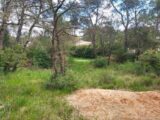 Terrain à bâtir à Rocbaron (83136) 2127985-11137annonce120250408JsMHH.jpeg Maisons France Confort