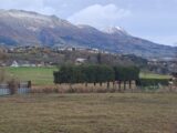 Maison à construire à Gap (05000) 2128416-7183annonce120250409gvFZu.jpeg Maisons France Confort