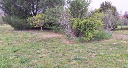 Plaisance-du-Touch Terrain à bâtir - 2129380-9555annonce1202504108zCtD.jpeg Maisons France Confort