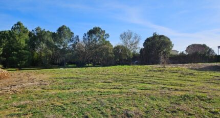 Puydaniel Maison neuve - 2130142-6043annonce220250411iT01N.jpeg Maisons France Confort