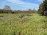 Terrain à bâtir à Gaillac (81600) 2130698-2684annonce42025041126HxG.jpeg Maisons France Confort