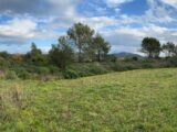 Terrain à bâtir à La Valette-du-Var (83160) 2132050-11136annonce120250414Oug7d.jpeg Maisons France Confort