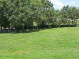 Maison à construire à Cintegabelle (31550) 2131168-10568annonce1202504116pwl6.jpeg Maisons France Confort