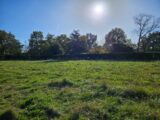 Terrain à bâtir à Pins-Justaret (31860) 2106821-6043annonce2202503145ldPL.jpeg Maisons France Confort