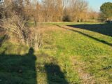 Maison à construire à Lavaur (81500) 2106372-2684annonce120250314zPQSX.jpeg Maisons France Confort