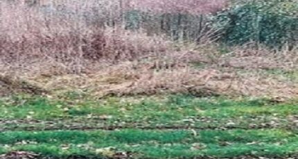 Nanteau-sur-Lunain Maison neuve - 2137924-1635annonce120250410lJMfI.jpeg Maisons France Confort
