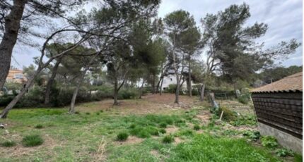 Ventabren Terrain à bâtir - 2119851-7060annonce120250328fHwQx.jpeg Maisons France Confort