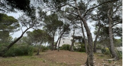 Ventabren Terrain à bâtir - 2119851-7060annonce220250328pqh2Z.jpeg Maisons France Confort