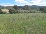 Terrain à bâtir à Pignans (83790) 2143209-10295annonce120250106BVetc.jpeg Maisons France Confort