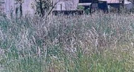 Grez-sur-Loing Maison neuve - 2144164-1635annonce120250411XWEmO.jpeg Maisons France Confort