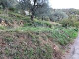 Terrain à bâtir à Châteauneuf-Villevieille (06390) 2144598-10140annonce320250430gZh0S.jpeg Maisons France Confort