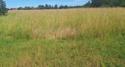 Castelsarrasin Terrain à bâtir - 2124878-3575annonce120250404LnSkd.jpeg Maisons France Confort