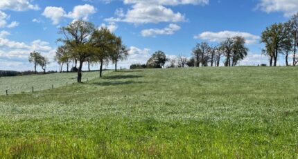 Marcolès Terrain à bâtir - 2148304-3828annonce420250110vwB07.jpeg Maisons France Confort
