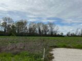Maison à construire à Viterbe (81220) 2146265-2684annonce220250501UKON6.jpeg Maisons France Confort