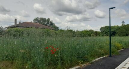 Noé Maison neuve - 2147644-6043annonce520250502CZJuJ.jpeg Maisons France Confort