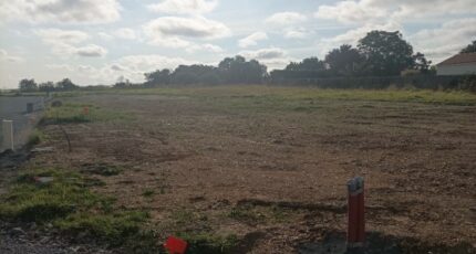 Oulmes Terrain à bâtir - 2148699-10941annonce120240805QFJKg.jpeg Maisons France Confort