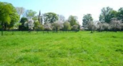 Les Bordes-Aumont Maison neuve - 2149054-4031annonce1202505051yI3H.jpeg Maisons France Confort
