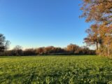 Terrain à bâtir à Mosnay (36200) 2149282-10775annonce120250506wPH6U.jpeg Maisons France Confort