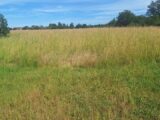 Terrain à bâtir à Finhan (82700) 2149466-3575annonce220250506QACy8.jpeg Maisons France Confort