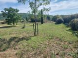 Maison à construire à Salernes (83690) 2150195-11157annonce1202505064blyk.jpeg Maisons France Confort