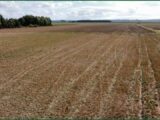 Terrain à bâtir à Noeux-les-Mines (62290) 2150497-11147annonce120250114E0177.jpeg Maisons France Confort