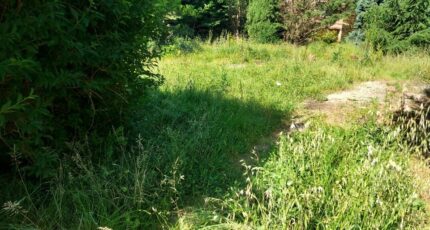 Plaisance-du-Touch Terrain à bâtir - 2151721-9555annonce120250507RRlzx.jpeg Maisons France Confort