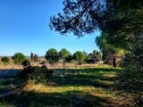 Maison à construire à Alignan-du-Vent (34290) 2154843-11018annonce1202505123beIS.jpeg Maisons France Confort