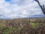 Terrain à bâtir à Loubressac (46130) 2091544-6976annonce320250227aUp0H.jpeg Maisons France Confort