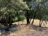 Maison à construire à Camps-la-Source (83170) 2155509-10122annonce220250513pATDh.jpeg Maisons France Confort