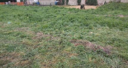 Dammarie-les-Lys Maison neuve - 2153323-10730annonce320250509obAGG.jpeg Maisons France Confort