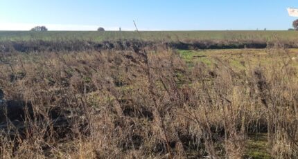 Seilh Terrain à bâtir - 2129162-5202annonce2202504102tWfH.jpeg Maisons France Confort