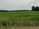 Maison à construire à Muespach-le-Haut (68640) 2156301-11139annonce120250513PpwBx.jpeg Maisons France Confort