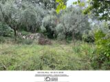 Terrain à bâtir à Draguignan (83300) 2103069-3951annonce220250311pVzWz.jpeg Maisons France Confort