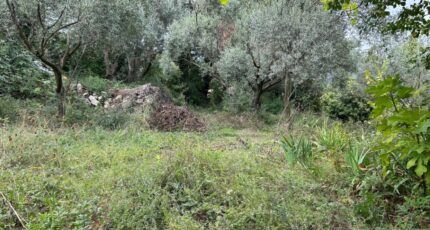 Draguignan Terrain à bâtir - 2103069-3951annonce220250311pVzWz.jpeg Maisons France Confort